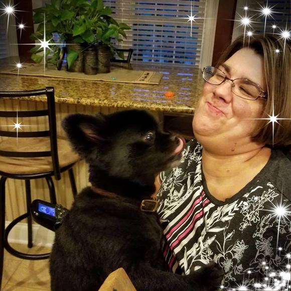 Meet your Posher, Robin - Picture 1 of 1